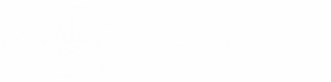 Logo white